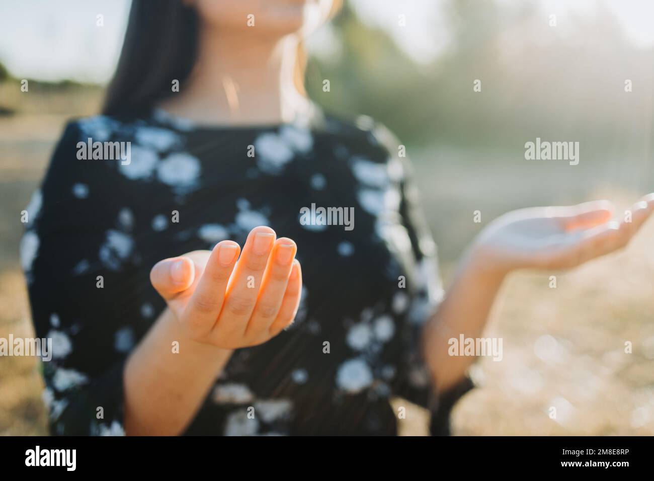 Treue religiöse Frau betet, hebt die Hand, um gottes Segen zu bitten, draußen auf dem Feld bei Sonnenuntergang. Stockfoto