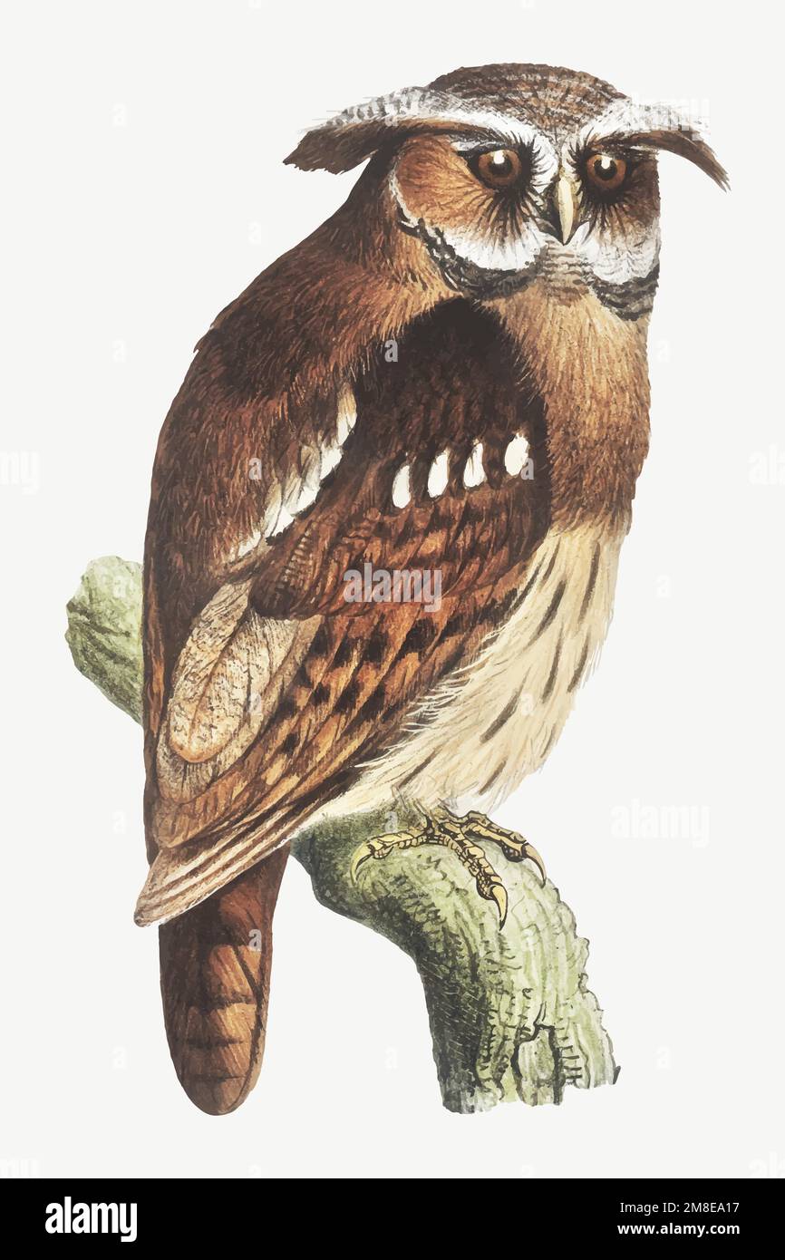 Vintage-Eule auf dem Vektor des Stangenkunstdrucks, Remix aus Werken von Theo van Hoytema Stock Vektor