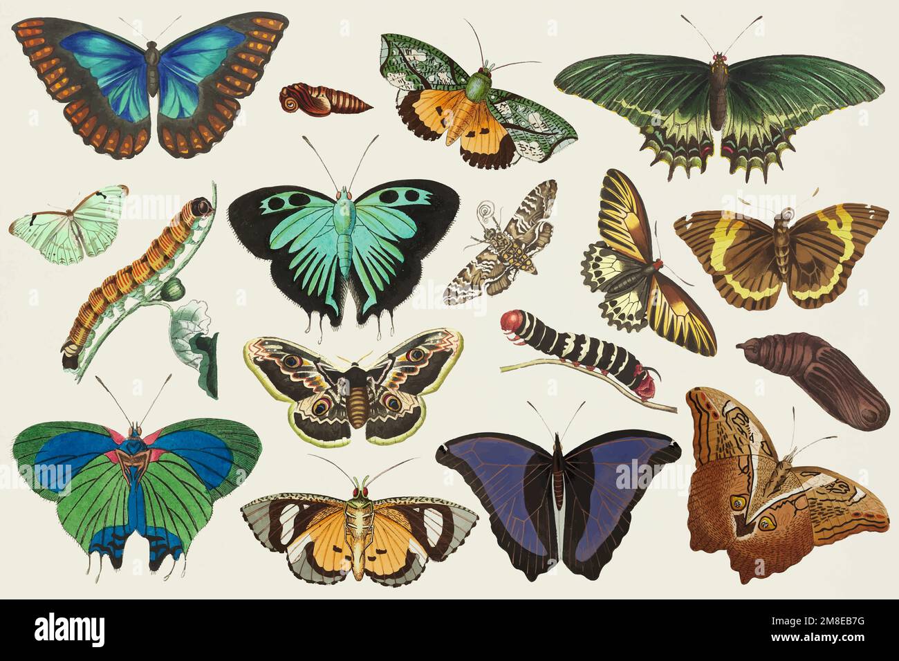 Vintage Schmetterling Vektor bunte Illustration Set Stock Vektor