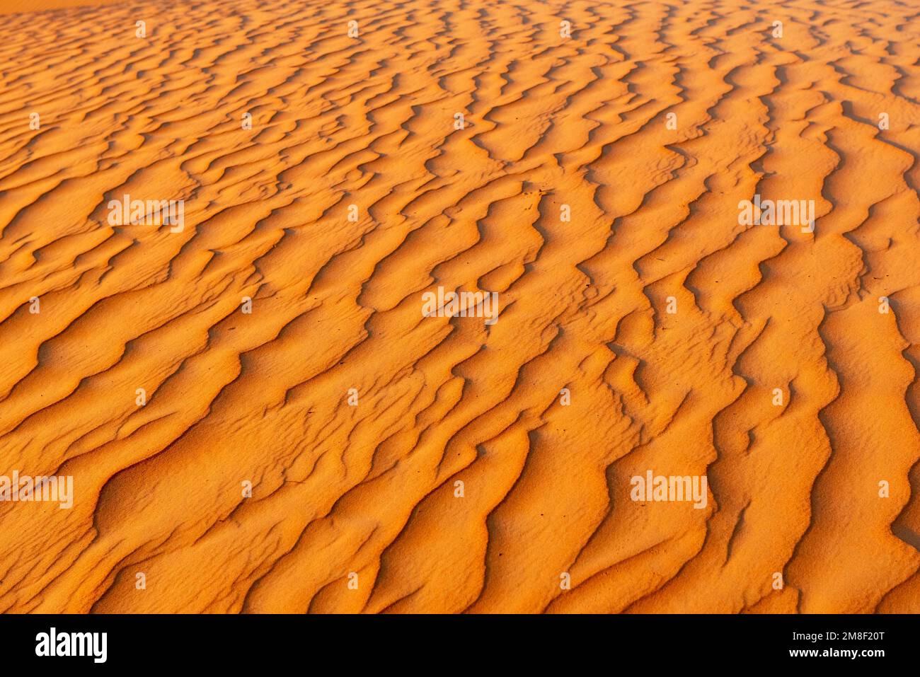 Natürliche Muster und Wellen im Sand, Wahiba-Wüste, Sharqiya Sands, Oman Stockfoto