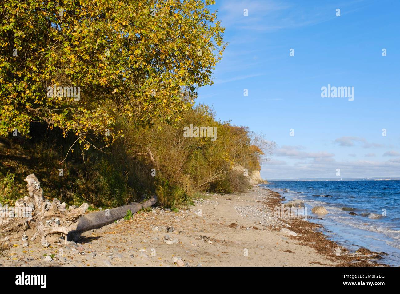 Brodtener Steilufer an der Ostsee, Herbst, Travemünde, Lübeck, Schleswig-Holstein, Deutschland Stockfoto