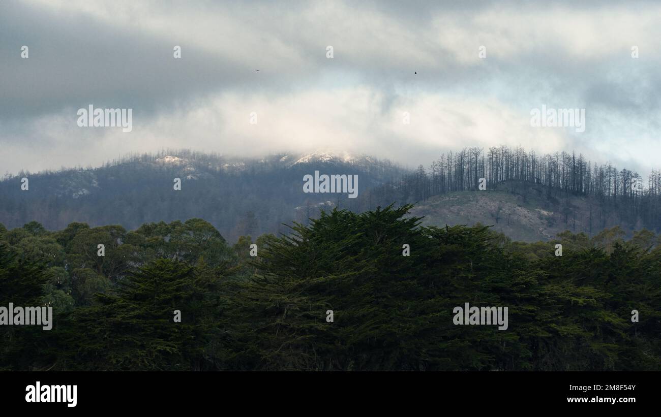 Berge mit wolkenlosem Himmel und grünen Büschen im Vordergrund. Stockfoto