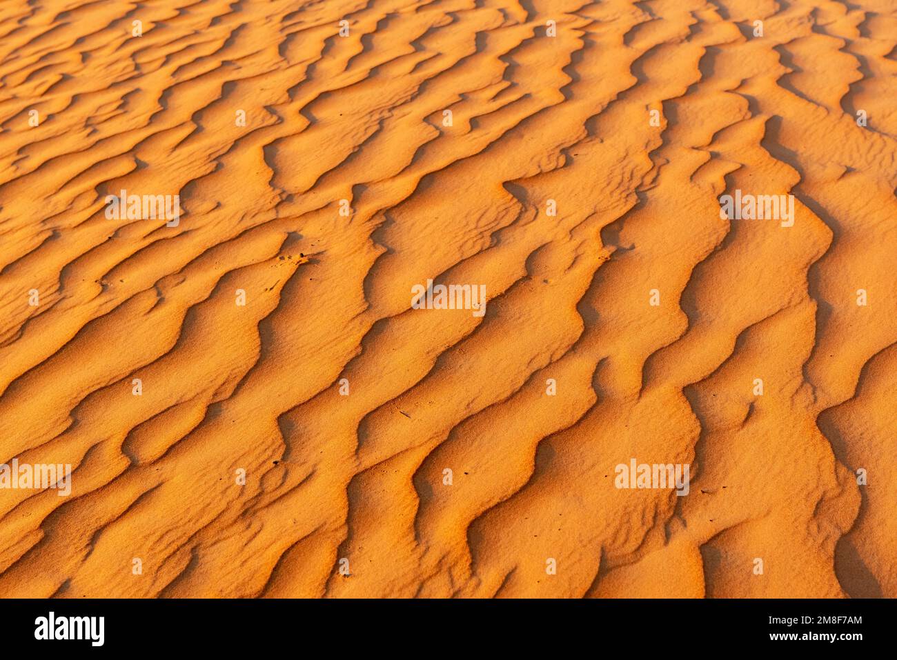 Natürliche Muster und Wellen im Sand, Wahiba Sands Desert, Bidiyah, Oman Stockfoto