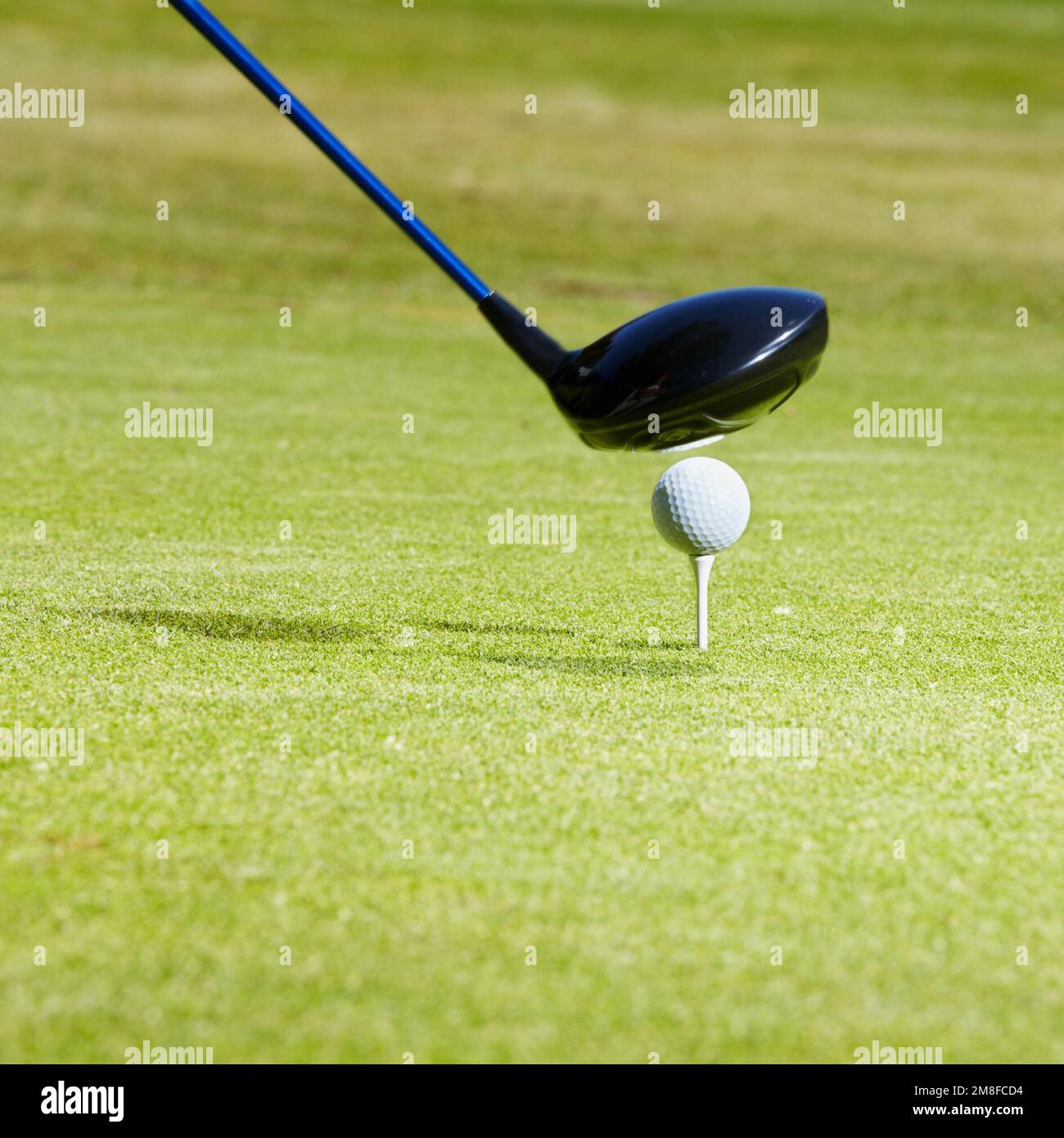 Das wird eine lange Fahrt. Nahaufnahme eines Fahrers, der kurz davor steht, einen Golfball zu treffen, der auf einem Tee ruht. Stockfoto