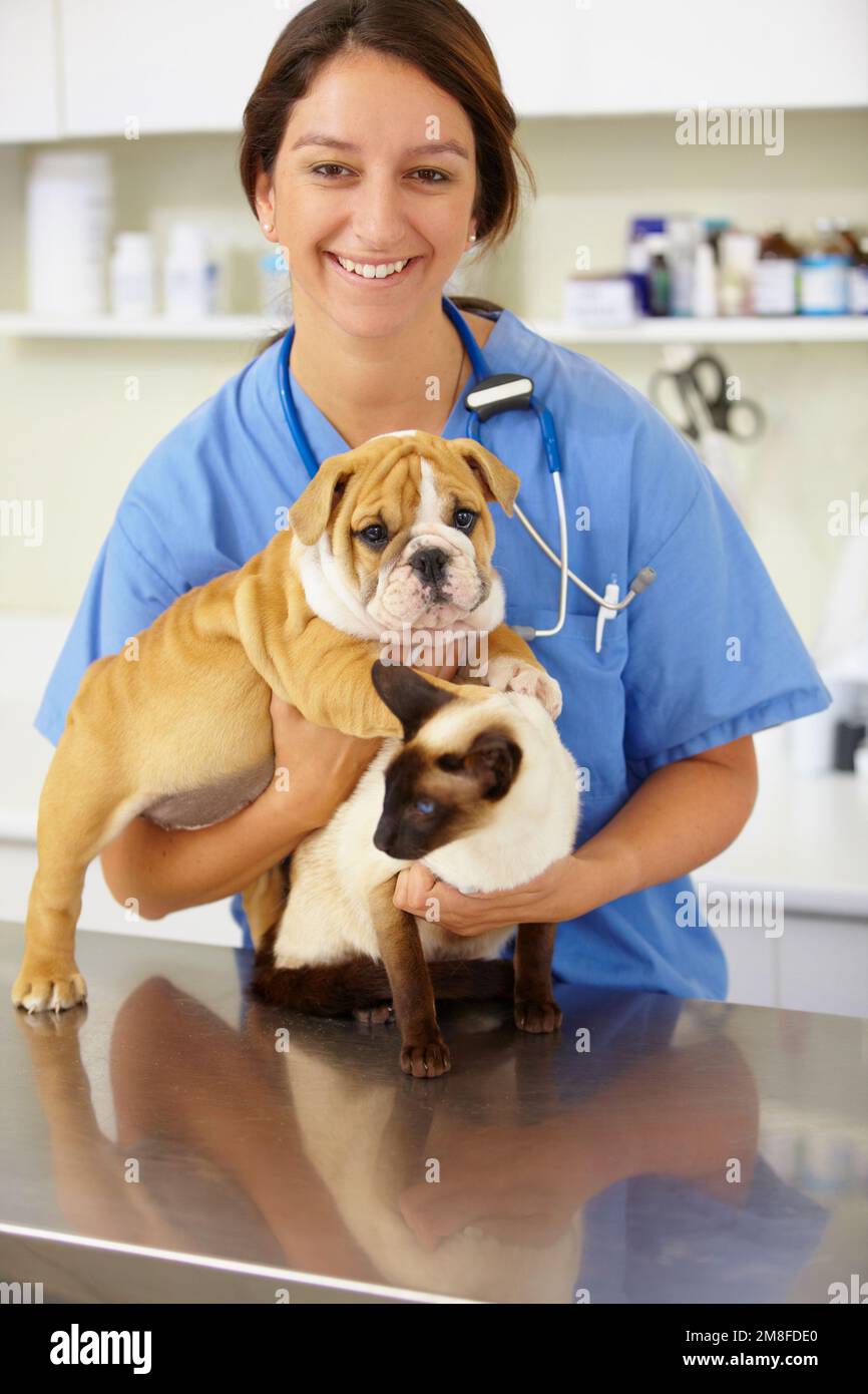 Sie sind sicherlich eine Handvoll. Porträt einer jungen Tierärztin mit einem Bulldoghündchen und einem siamesischen Kitting. Stockfoto