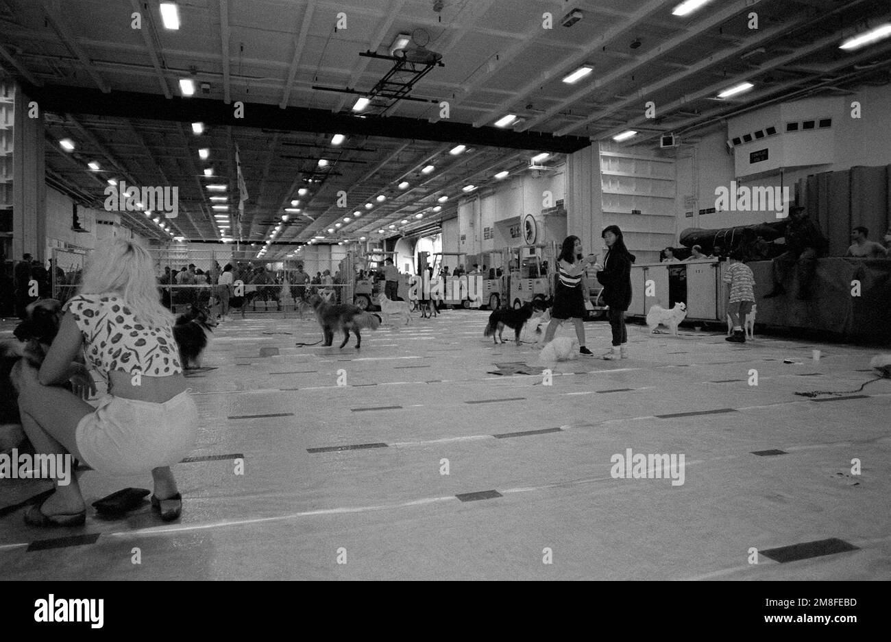 Die Hangarbucht an Bord des nuklearbetriebenen Flugzeugträgers USS ABRAHAM LINCOLN (CVN 72) dient als provisorischer Unterschlupf für Haustiere des Militärpersonals und Angehörige, die vom Luftwaffenstützpunkt Clark und der Marinestelle Subic Bay evakuiert werden. Nach dem Ausbruch des Mount Pinatubo, einem Vulkan, der am 10. Juni zum ersten Mal seit über 600 Jahren zum Leben erweckt wurde, werden Evakuierte aus dem Gebiet transportiert. Land: Philippinen (PHL) Stockfoto