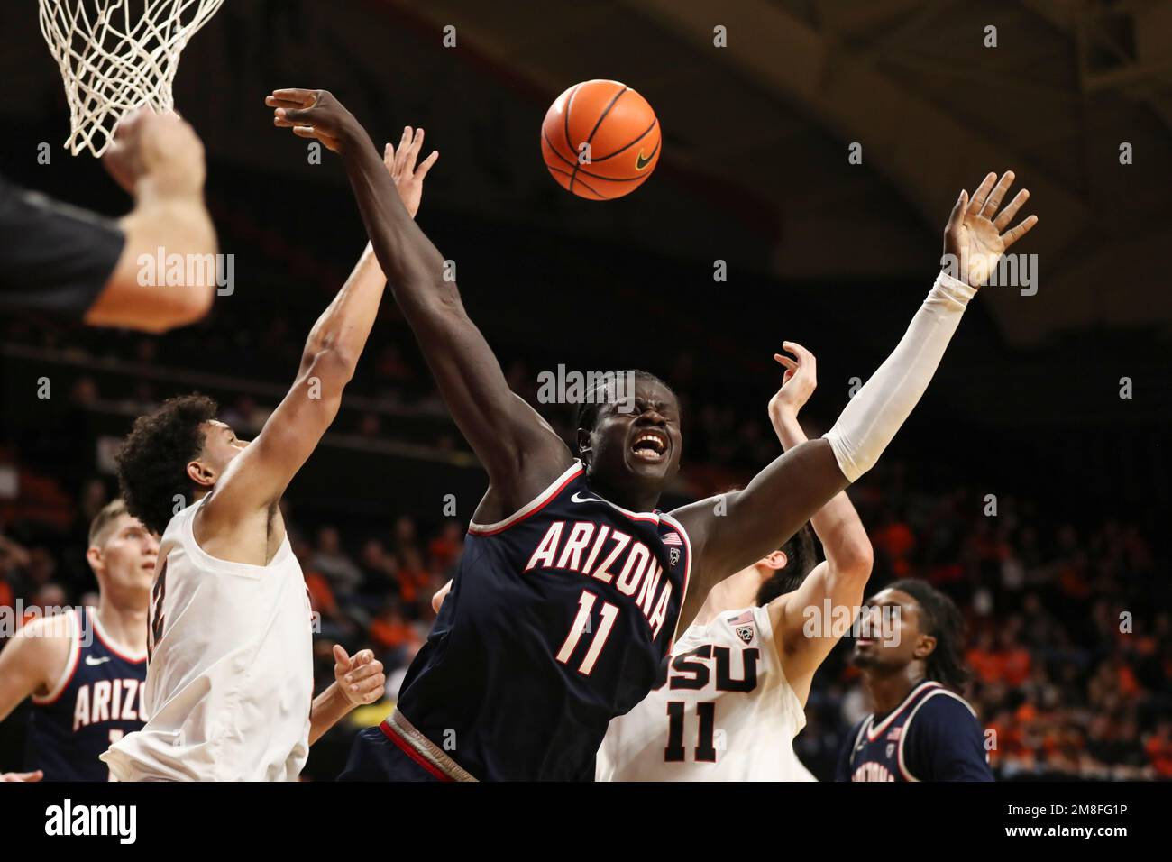 Arizona center Oumar Ballo (11) collides with Oregon State forward Dzmitry Ryuny (11) while going for a rebound during the second half of an NCAA college basketball game in Corvallis, Ore., Thursday, Jan. 12, 2023. Arizona won 86-74. (AP Photo/Amanda Loman) Stockfoto