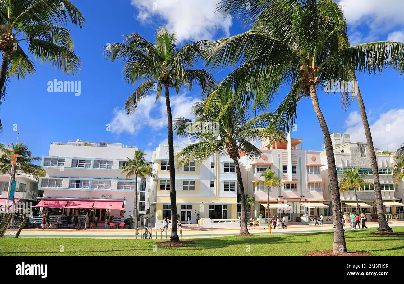 Art déco-Hotels und Palmen am Ocean Drive in Miami Beach, Florida, USA Stockfoto