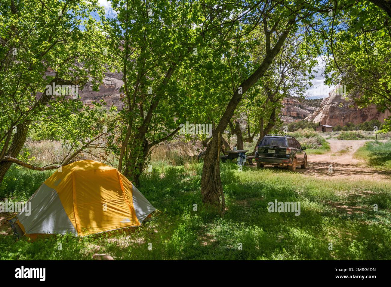 Campingplatz am Echo Park Campground, in der Nähe von Steamboat Rock, Dinosaur National Monument, Colorado, USA Stockfoto