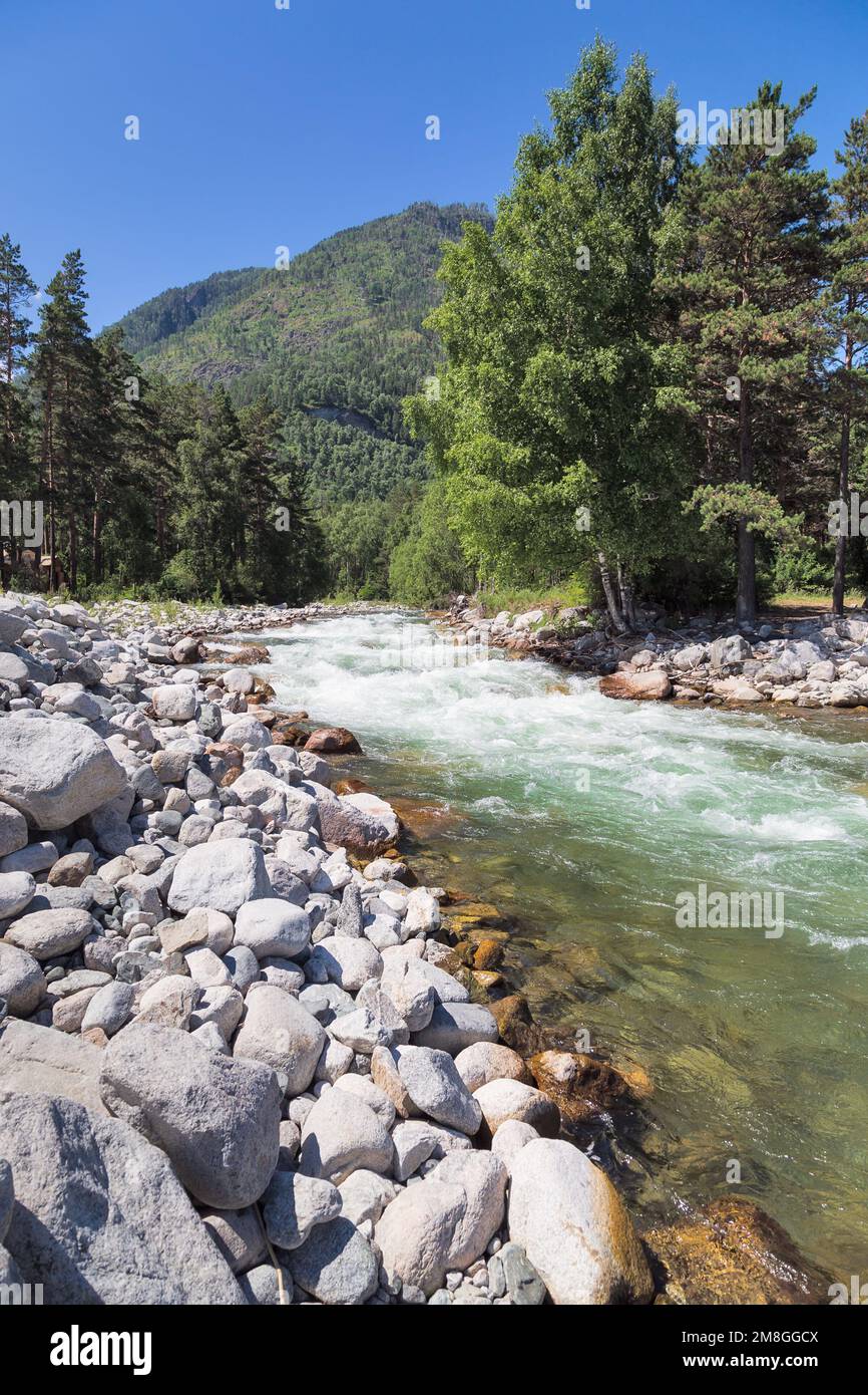 Bach mit klarem, türkisfarbenem Wasser im Altai-Gebirge. Sommerlandschaft. Stockfoto
