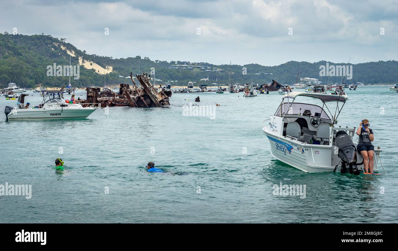 Moreton Island, Queensland, Australien - Tauchen auf dem versunkenen Schiff Stockfoto