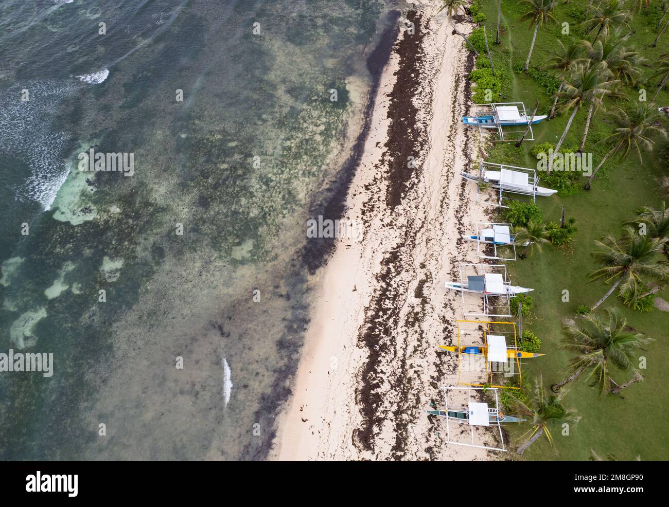 Strand auf der Insel Siargao, Philippinen von oben gesehen, Drohnenfoto Stockfoto