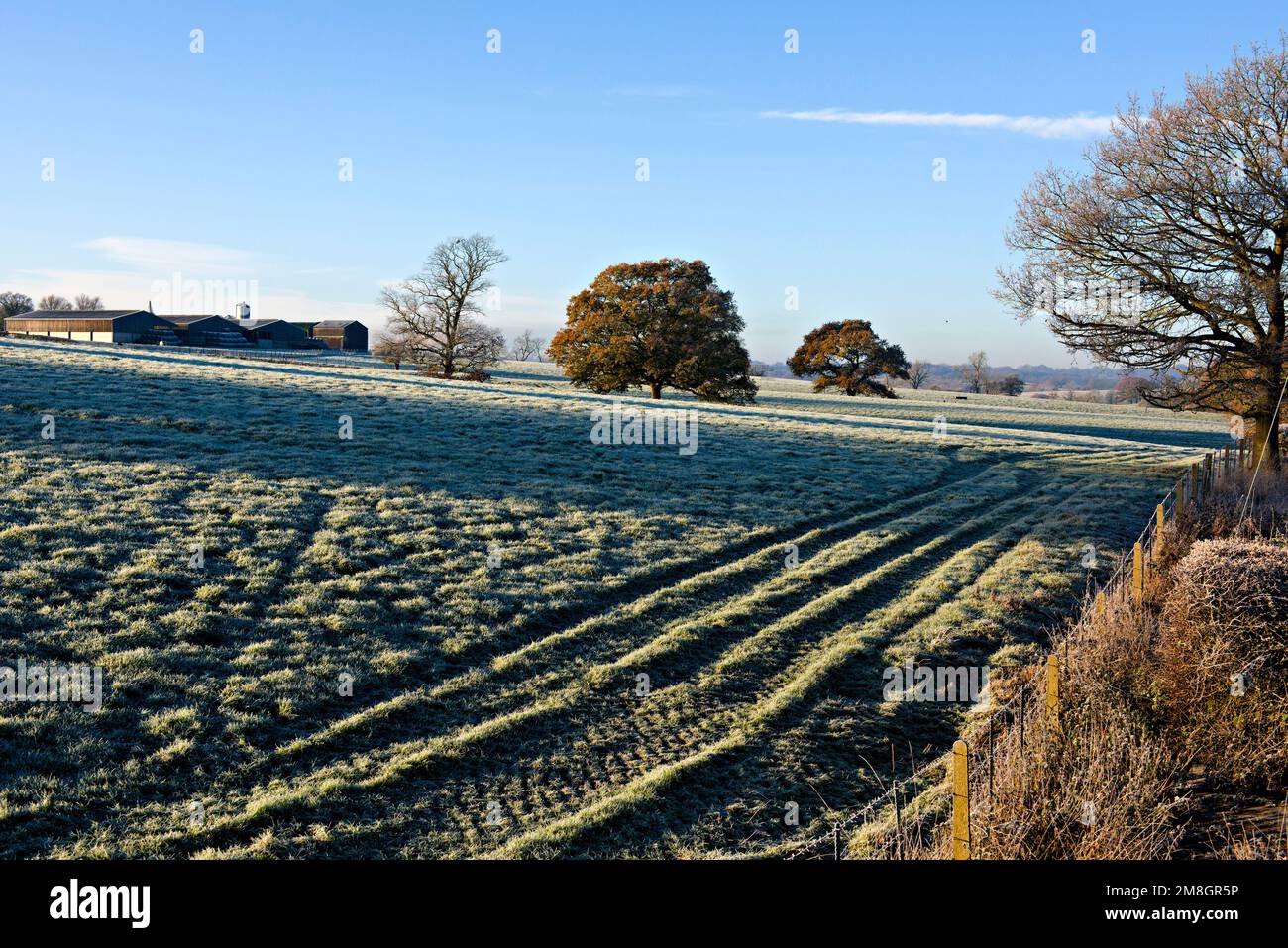 Frostige Winterszenen in der Nähe von Tenterden, Kent, Großbritannien Stockfoto