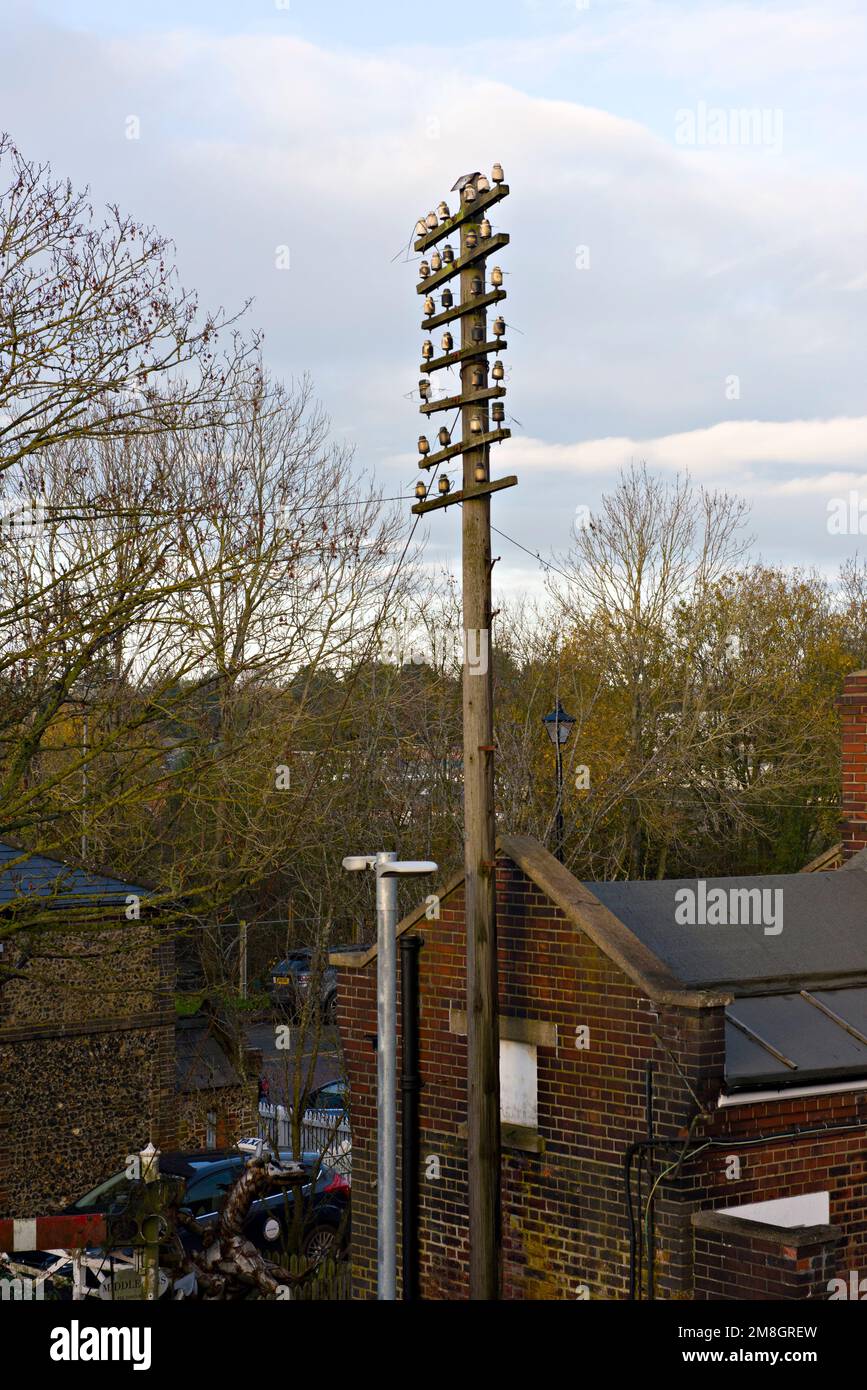 Unbenutzter Telegrafenmast mit Isolatoren Stockfoto