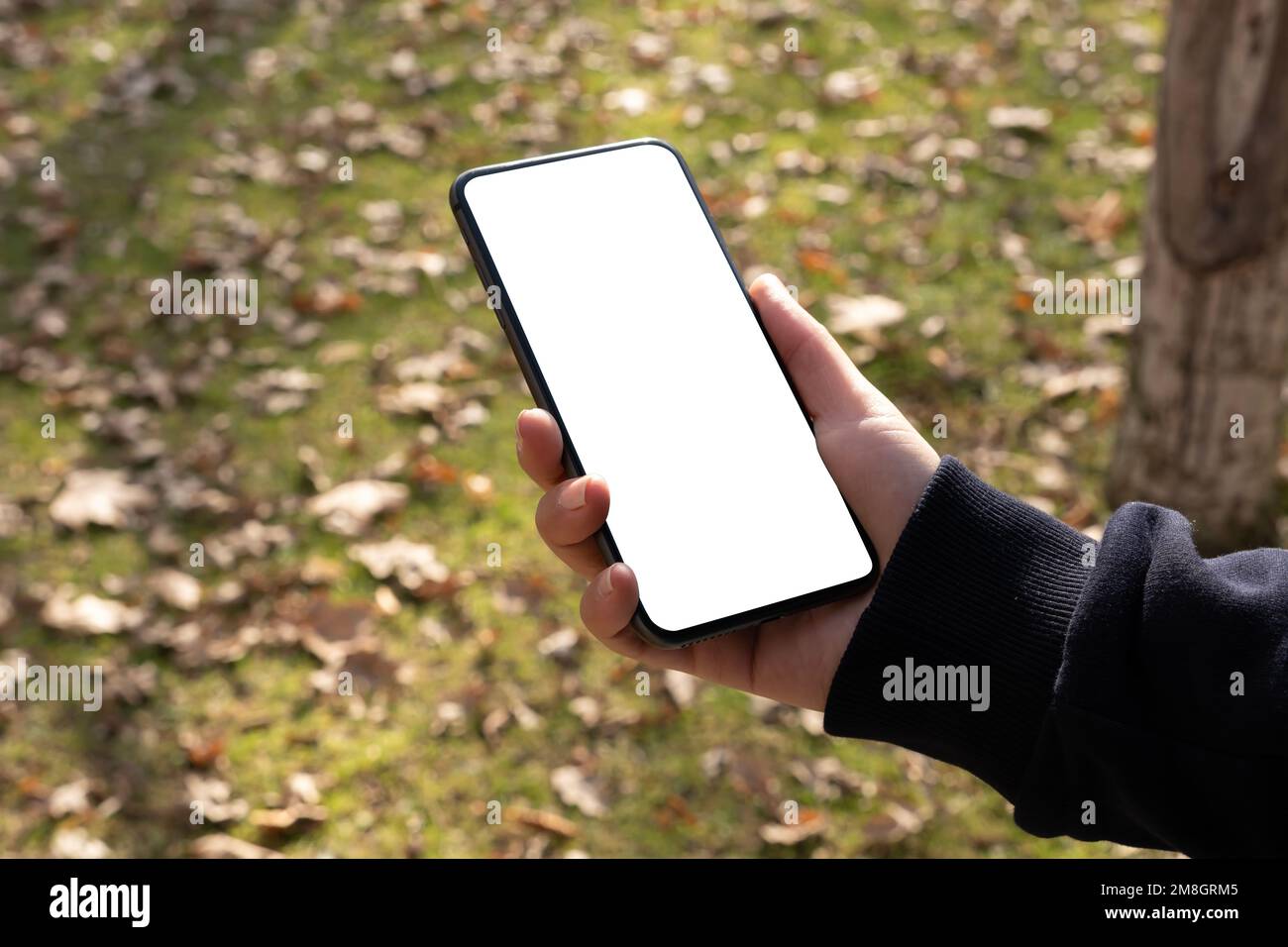 Nahaufnahme Frau mit Smartphone und leerem Modell-Bildschirm. Mobile Software-App, Videoanruf, Spiel spielen, Idee für Online-Shopping, Kopierbereich. Stockfoto