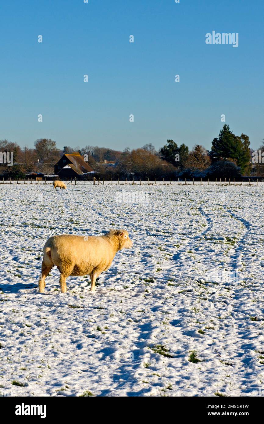 Eine verschneite Szene in der Landschaft von Kentish, England, während einer kurzen Kälteperiode im Dezember 2022 Stockfoto