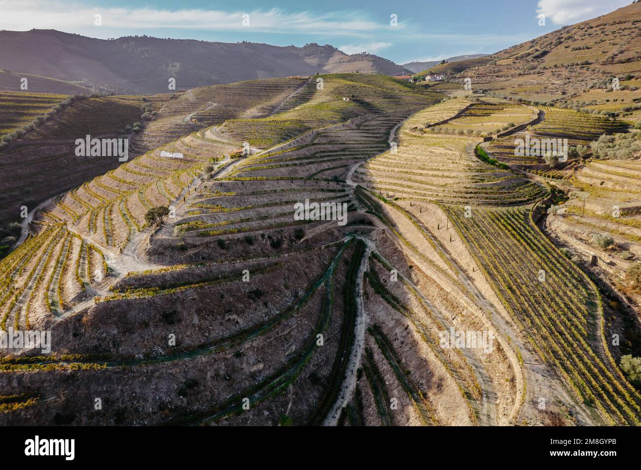 Blick aus der Vogelperspektive auf das Douro-Tal. Terrassenförmige Weinberge und Landschaft in der Nähe von Pinhao, Portugal. Portugiesische Weinregion. Wunderschöne Herbstlandschaft. Reisekonzept Stockfoto