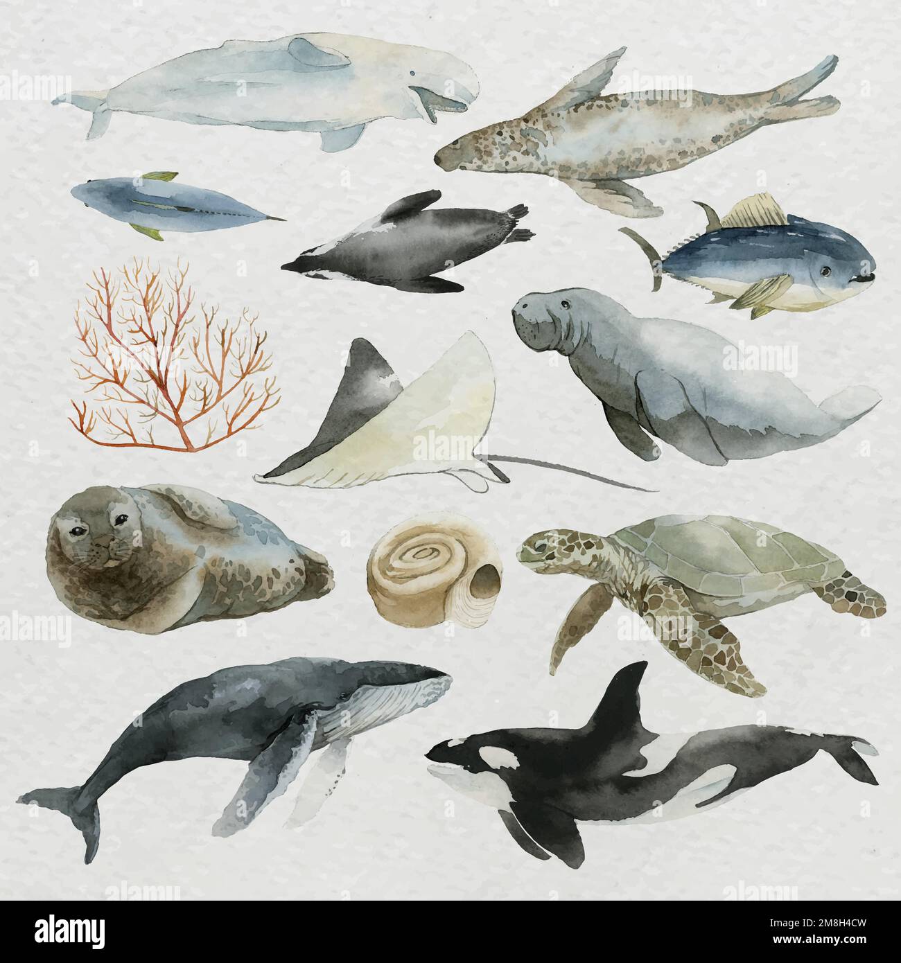 Tiere aus dem Meer in Aquarell-Set-Vektor Stock Vektor