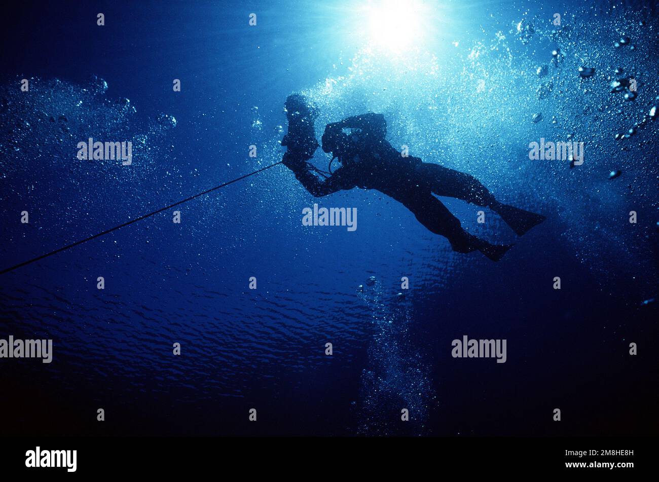 EIN US-AMERIKANISCHER Navy Taucher steigt vor der Küste von St. ins Wasser Croix, USA Jungferninseln, während der gemeinsamen Dienstübung Ocean Venture '93. Gegenstand Operation/Serie: OCEAN VENTURE '93 Land: Karibik Stockfoto