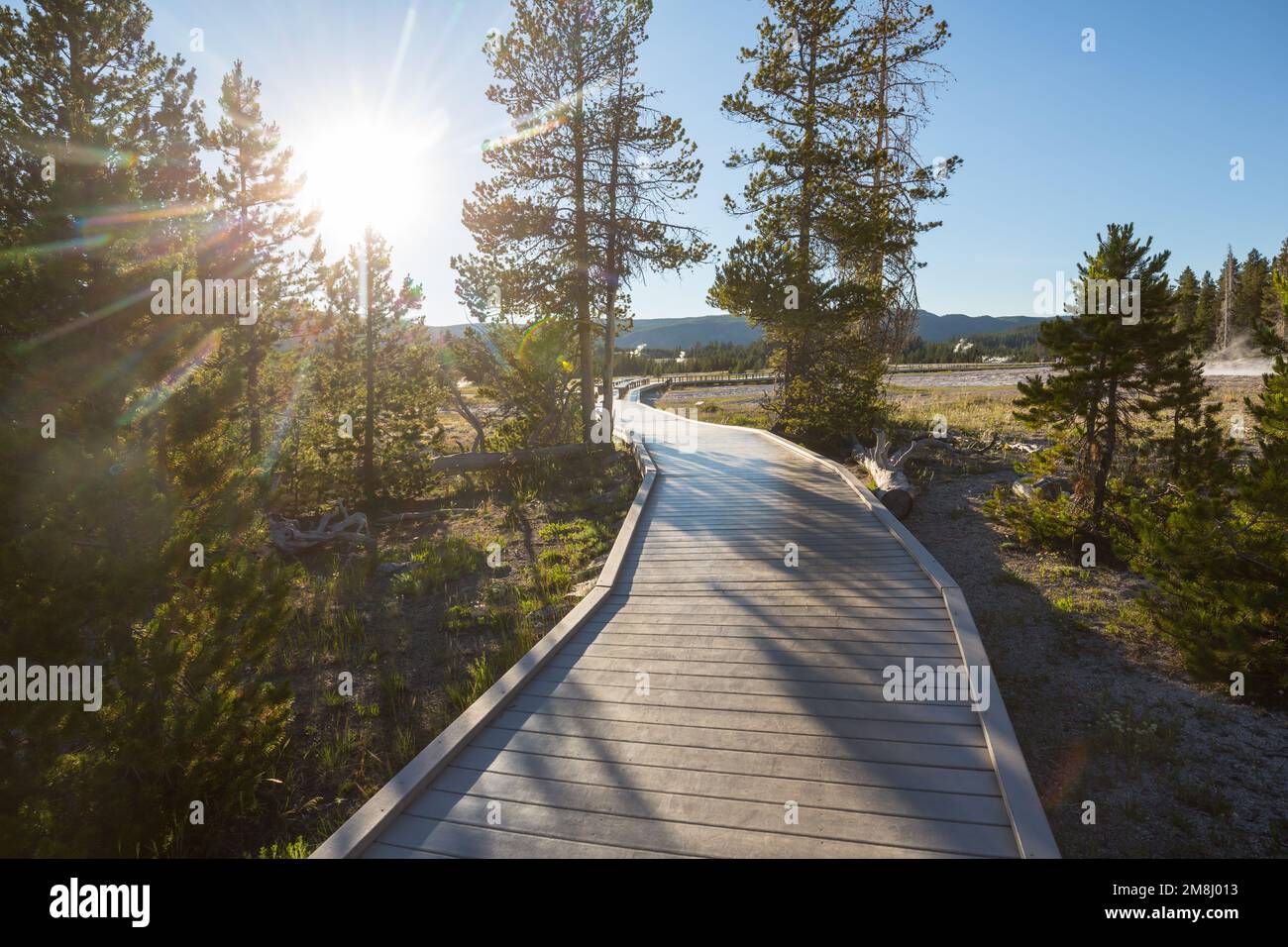 Holzstege in den geothermischen Gebieten des Yellowstone National Park, Wyoming, USA Stockfoto