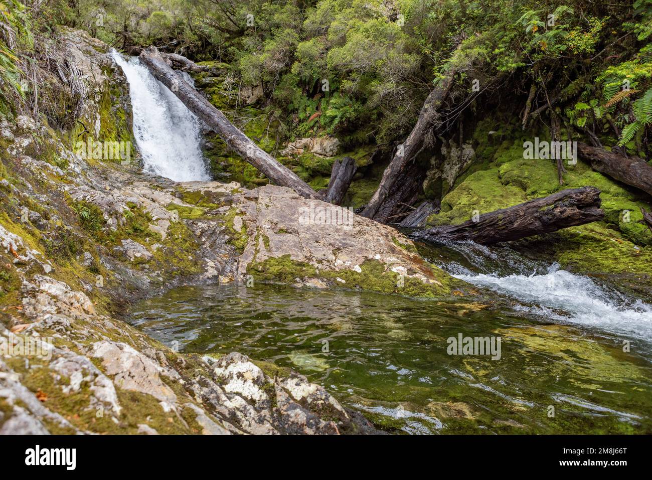 Blick auf den Wasserfall bei einer Wanderung auf den Sendero Cascadas Escondidas im Parque Nacional Pumalín Douglas Tompkins in Patagonien, Chile Stockfoto