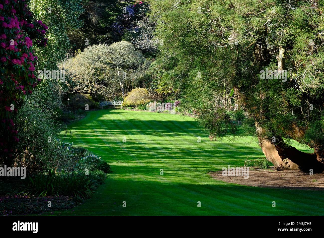 Parklandschaft, Cornwall, Großbritannien - John Gollop Stockfoto