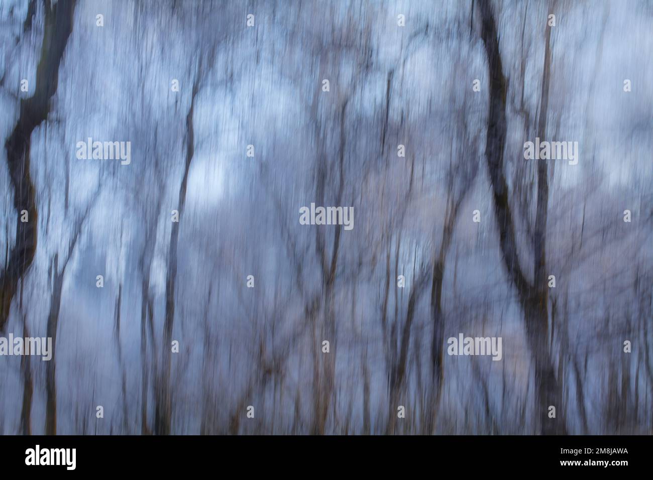 Abstrakte eisige Bäume, Wischeffekt Stockfoto