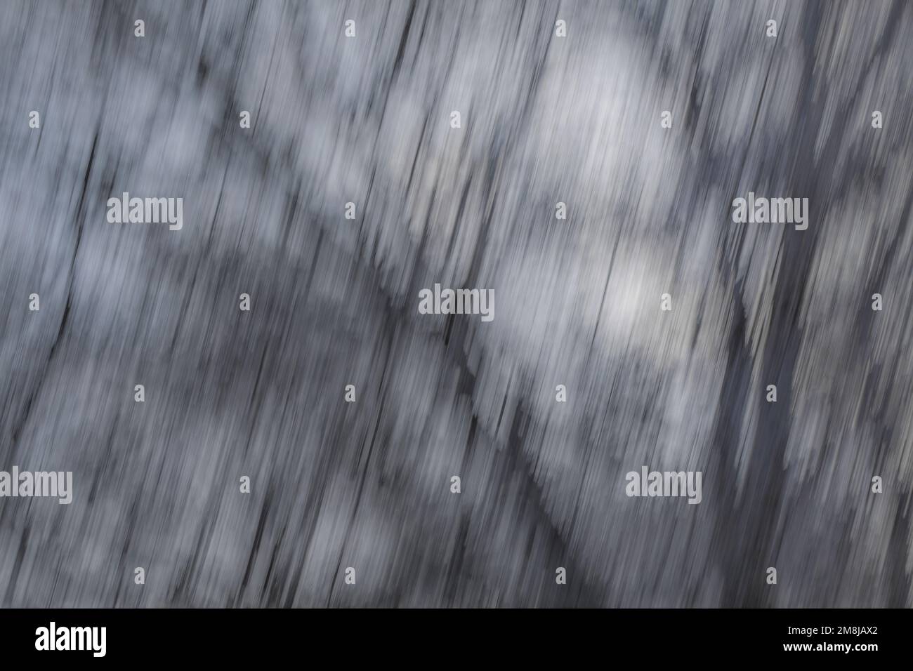 Abstrakte eisige Bäume, Wischeffekt Stockfoto