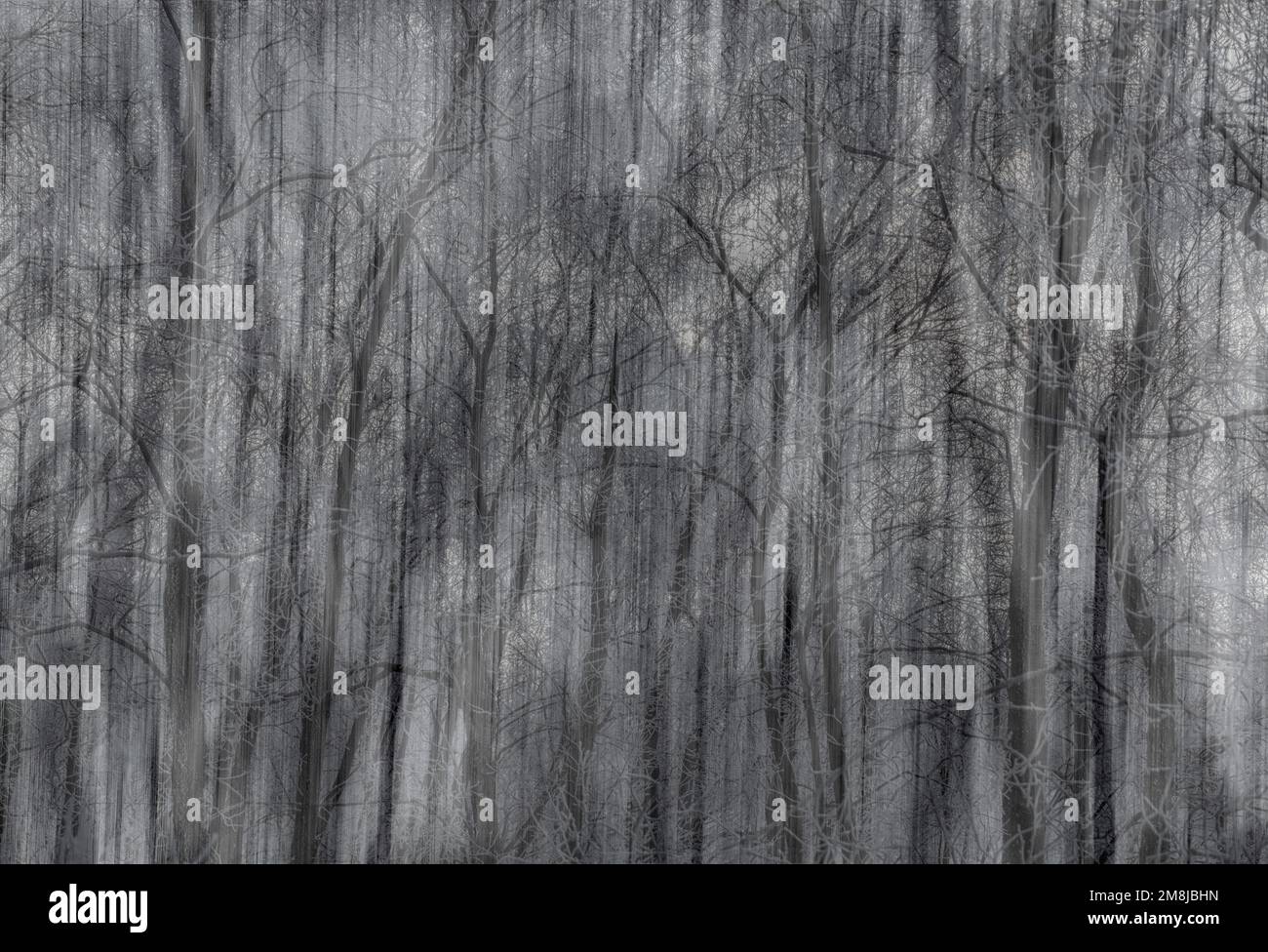 Abstrakte eisige Bäume, Wischeffekt Stockfoto