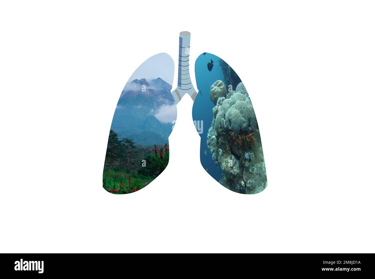 Mount-Form und Meer in menschlichen Lungen. Konzeptionelles Bild. Konzept des Internationalen Tages der sauberen Luft. Konzept für den Weltreinigungstag Stockfoto