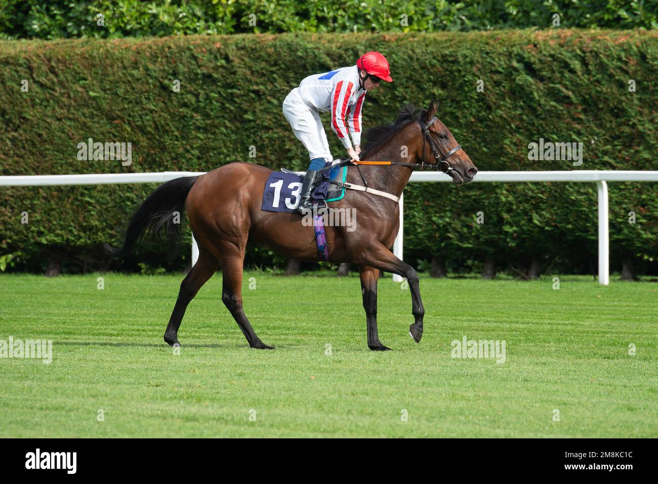 Windsor, Berkshire, Großbritannien. 3. Oktober 2022. Ausweichpferde, die von Jockey Callum Shepherd nach einer Fahrt im Downland auf den At the Races App Handicap Stakes auf der Windsor Racecourse gefahren wurden. Kredit: Maureen McLean/Alamy Stockfoto