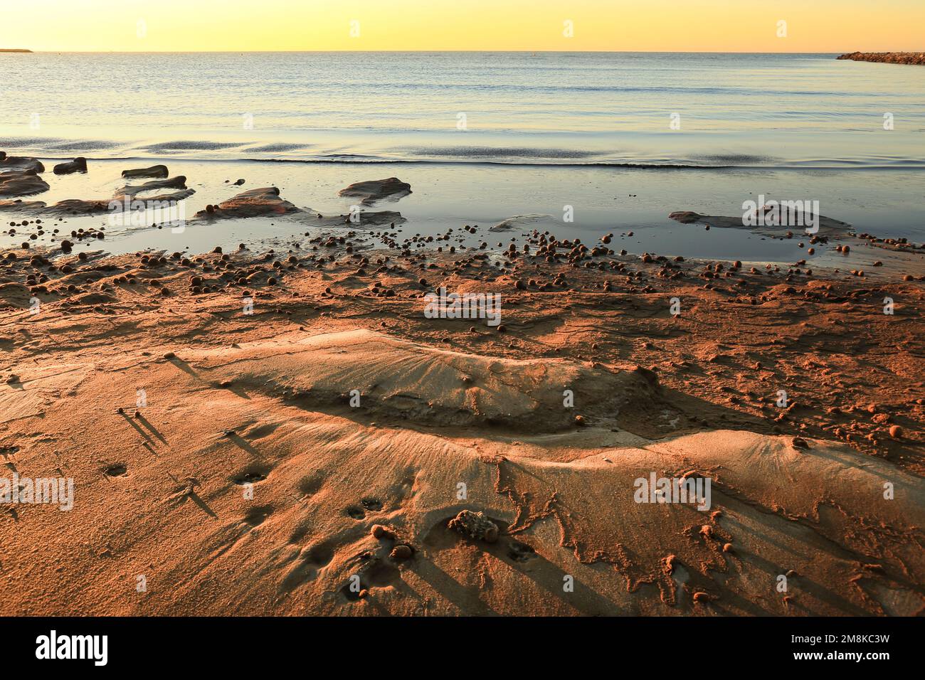 Trockene ozeanische Posidonia Algenbälle am Strand und Sand Textur an einem sonnigen Tag im Winter Stockfoto