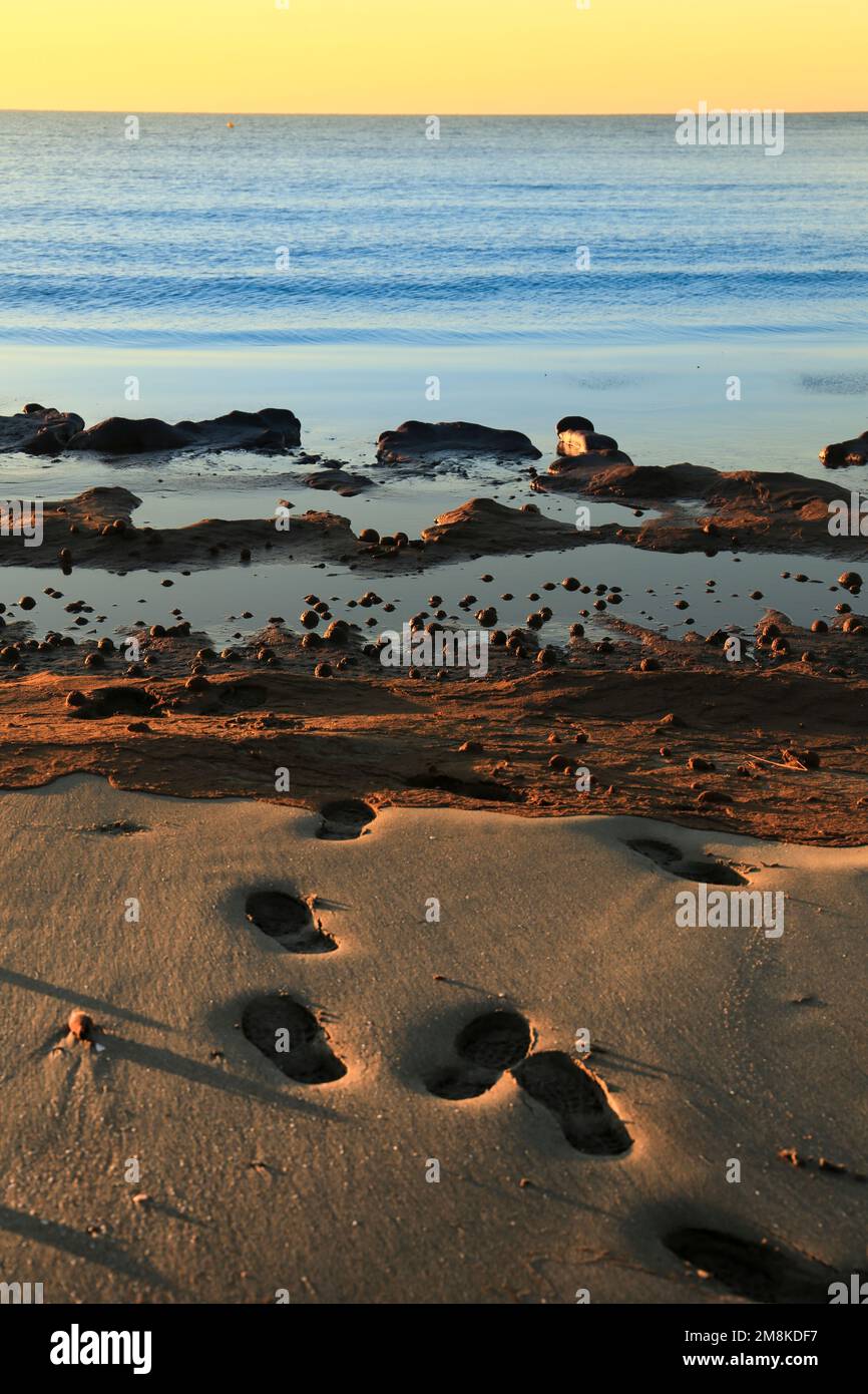 Fußabdrücke und trockene Ozeanposidonia-Algenbälle am Strand und Sandstruktur an einem sonnigen Tag im Winter Stockfoto