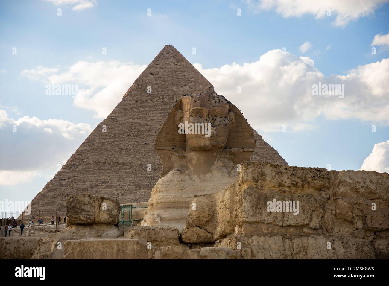 Die große Sphinx und Pyramide von Chephren oder Chephren in Gizeh Stockfoto
