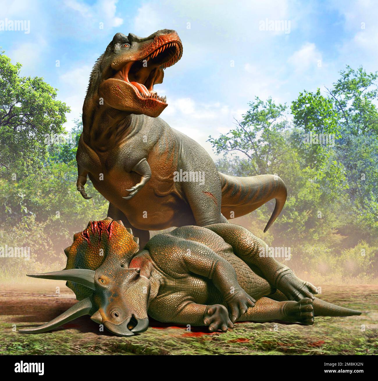 Tyrannosaurus jagte Einen Triceratops Stockfoto
