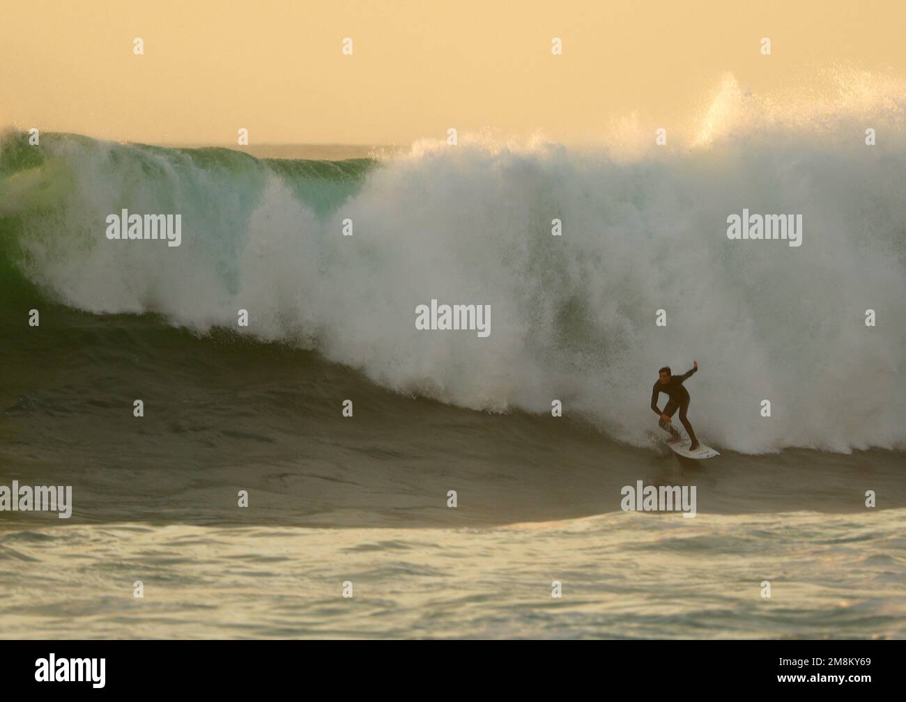 San Diego, Kalifornien, USA. 13. Januar 2023. Ein Surfer reitet auf einer Welle vor der Küste von La Jolla, während eine Reihe von Stürmen eine große Brandung entlang der kalifornischen Küste verursachte. (Kreditbild: © K.C. Alfred/ZUMA Press Wire) NUR REDAKTIONELLE VERWENDUNG! Nicht für den kommerziellen GEBRAUCH! Stockfoto