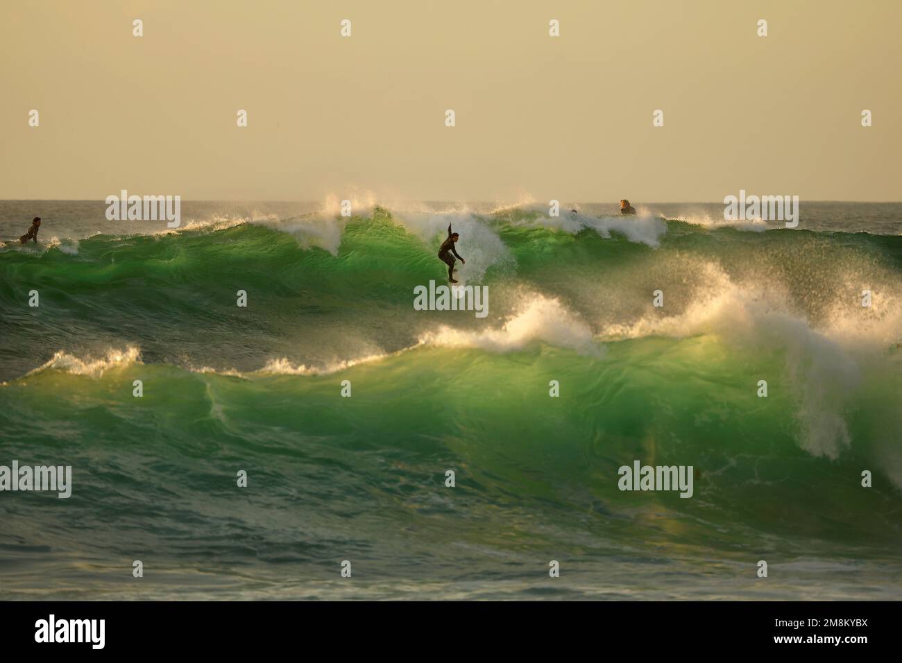 San Diego, Kalifornien, USA. 13. Januar 2023. Ein Surfer reitet auf einer Welle vor der Küste von La Jolla, während eine Reihe von Stürmen eine große Brandung entlang der kalifornischen Küste verursachte. (Kreditbild: © K.C. Alfred/ZUMA Press Wire) NUR REDAKTIONELLE VERWENDUNG! Nicht für den kommerziellen GEBRAUCH! Stockfoto