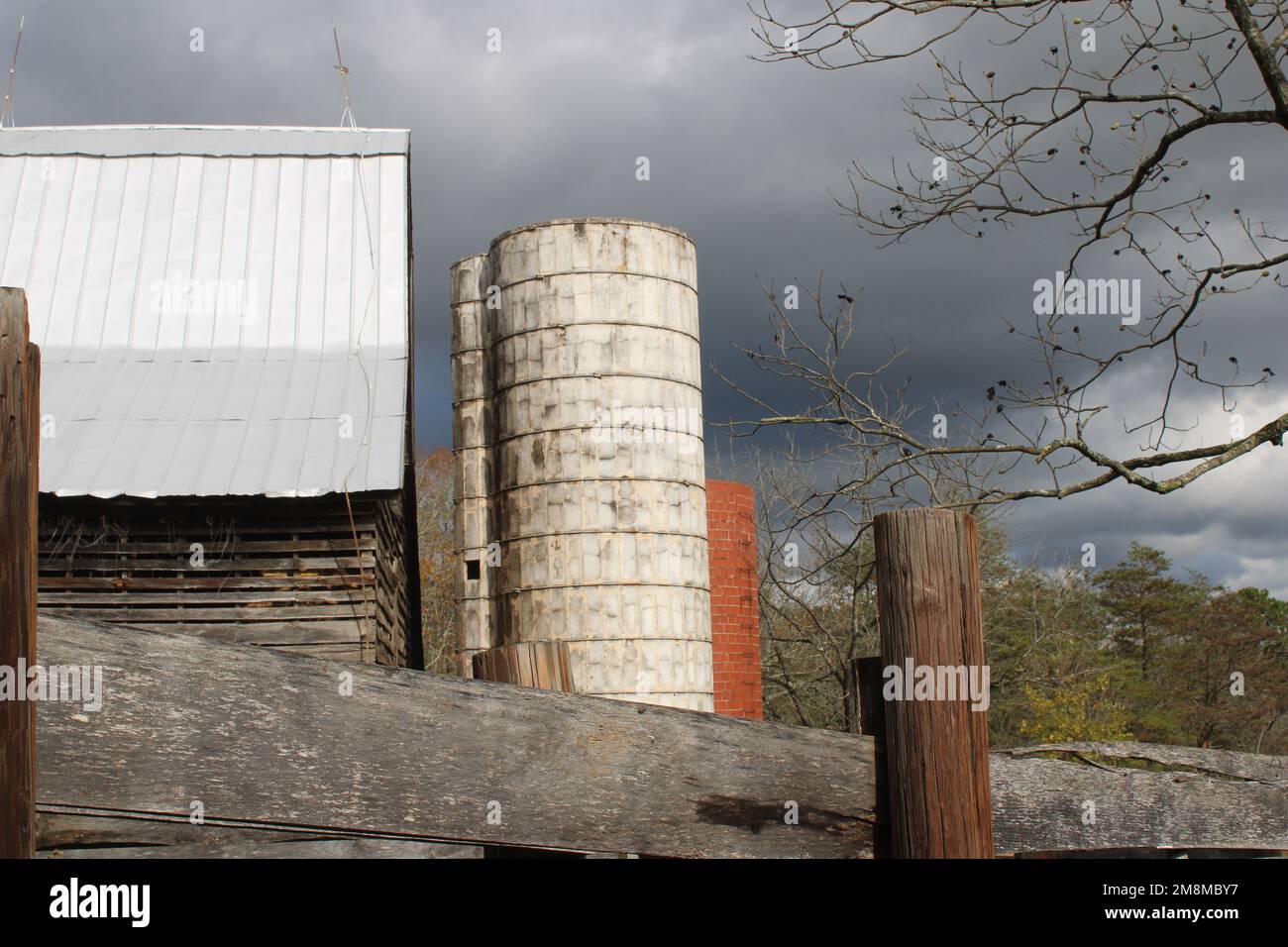 Alte Scheune mit roten und weißen Getreidesilos Stockfoto