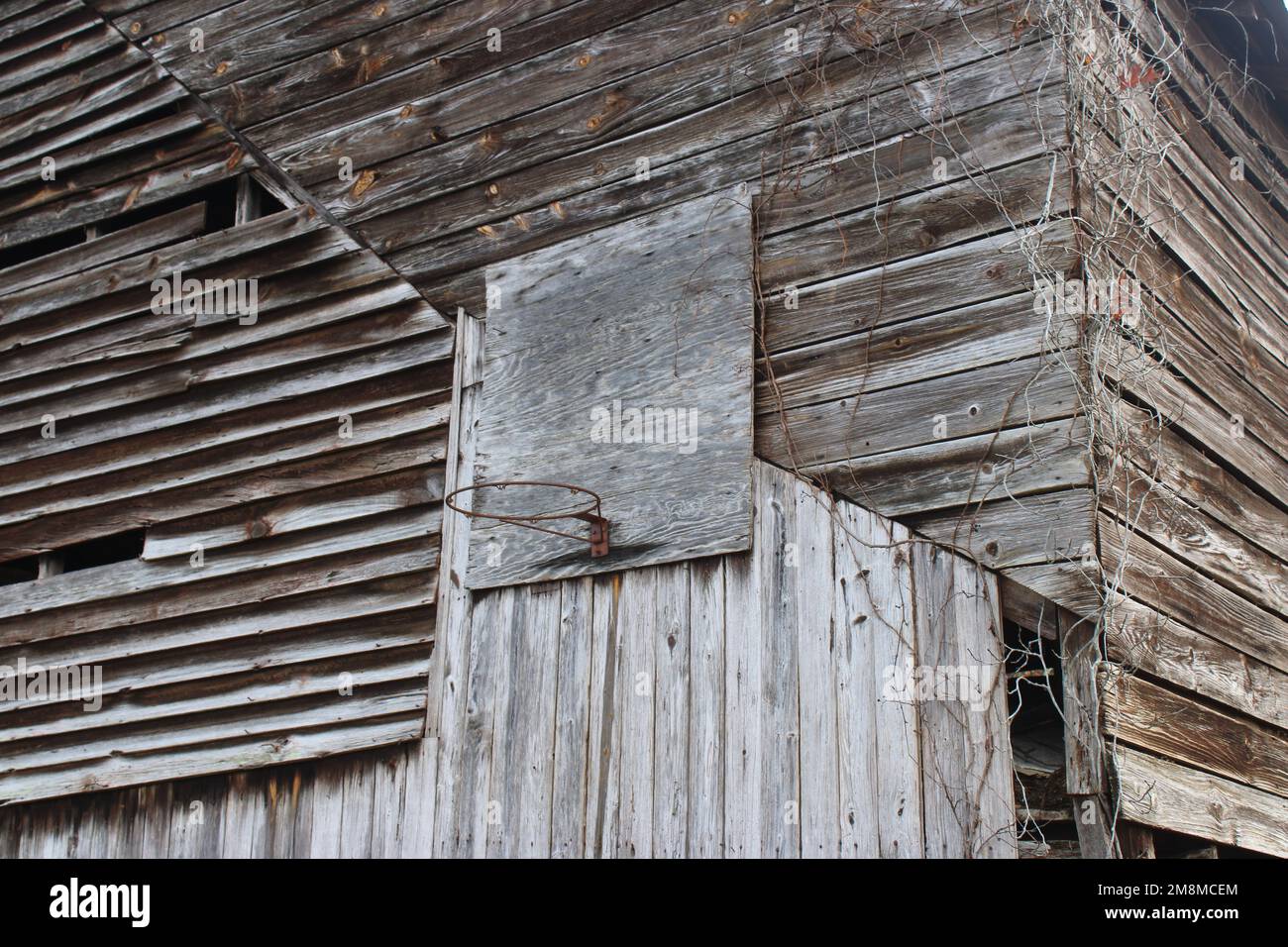 Verwitterte alte Stallwand mit Basketballkorb Stockfoto