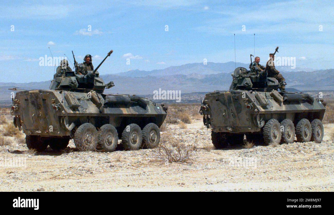 970419-M-5630S-003. [Complete] Szene Caption: Light Armored Vehicle-25 (LAV-25) von Alpha Company, 2. L.A.R. Bataillon bereit für Angriff auf Reichweite 400 während KOMBINIERTER WAFFENÜBUNG (CAX) 5-97. CAX 5/6-97 ist eine MAGTF-Übung (Marine Air Ground Task Force), die im MCAGCC (Marine Corps Air Ground Combat Center), 29 Palms, Kalifornien, durchgeführt wird. Das Kommandoelement für diese Übung ist MAGTF-6, gebaut um das 6. Marine Regiment, 2D Marine Division, Camp Lejeune, North Carolina. Viele Kommandos der II MEF (Marine Expeditionary Force) haben Einheiten nach t geschickt Stockfoto