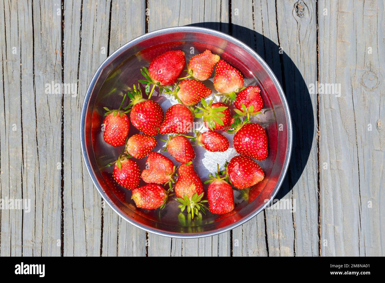 Waschen Sie reife und saftige Erdbeeren in der Schüssel. Stockfoto