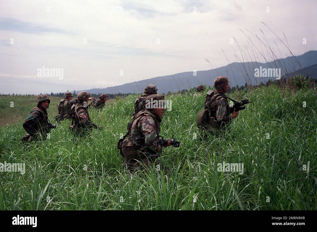 Marines bewaffnet mit M16 und tragen getarnte Ermüdungsstücke aus India Battery, 3. Bataillon, 12. Marines, 29 Palmen, Kalifornien, Patrouillieren Sie auf einem hohen Grasfeld am Fuße des Fuji. Basis: Berg Fuji Land: Japan (JPN) Stockfoto