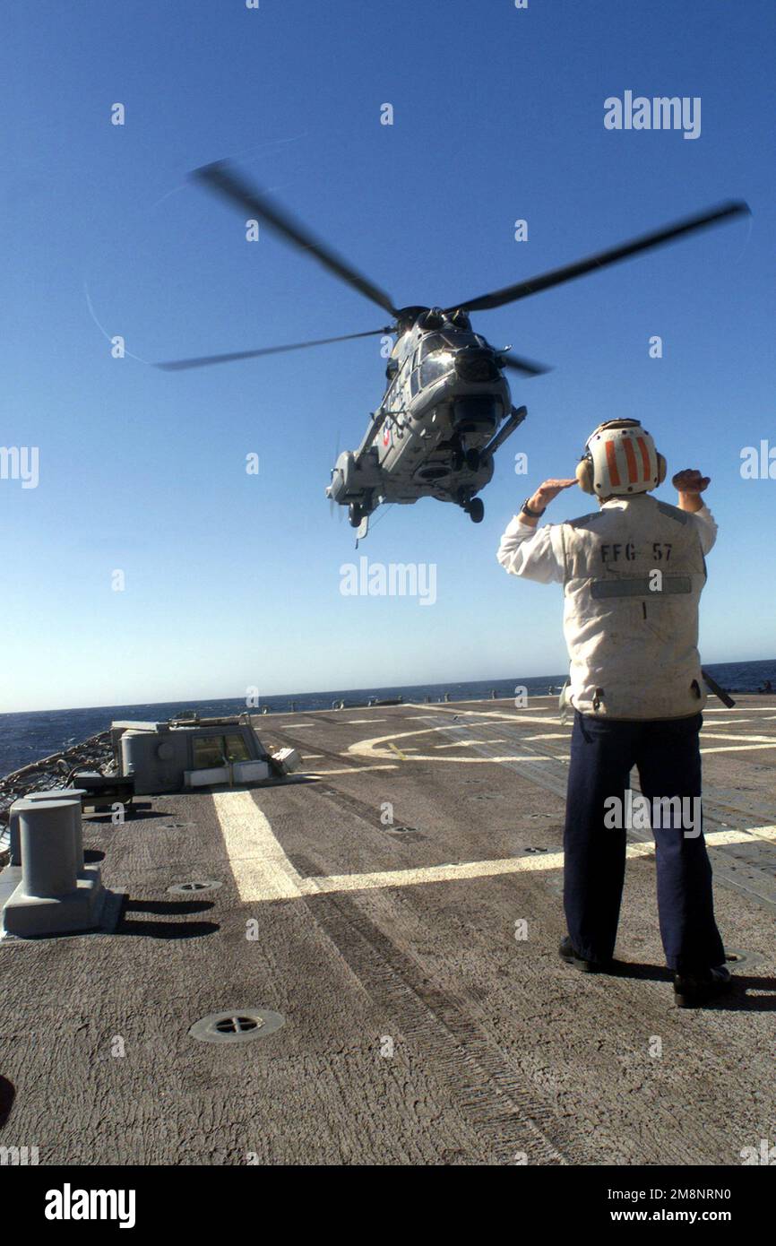 Karl Kubasa, MARINEOFFIZIER der US Navy Boatswain, leitet ein chilenisches Marineflugkommando ALS 532U2 Cougar MK II Helikopter, um an Bord der USS REUBEN JAMES (FFG 57) zu landen, während Trainingsübungen im Rahmen des TRAININGSTEAMS SOUTH '99 vor der Küste Chiles stattfinden. Betreff Operation/Serie: TEAMWORK SOUTH '99 Basis: USS Reuben James (FFG 57) Stockfoto