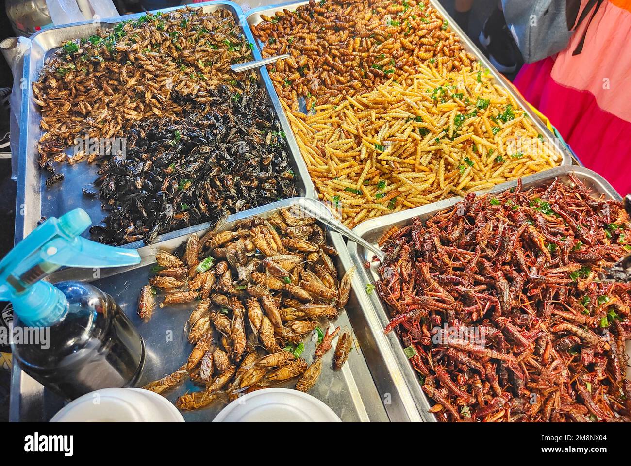 Beliebtes Street Food, knusprige getrocknete Häppchen, eine Vielzahl von wirbellosen Tieren wie Käfer, Maden, Tausendfüßler und Skorpione, beliebt in Südostasien. Stockfoto