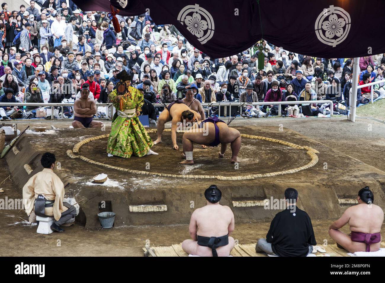 Japan. Tokio. Chiyoda-ku. Das Sumo-Turnier wird während der Sakura-Saison (Kirschblüten) im Yasukuni Jina, Shinto-Schrein, nördlich der i, organisiert Stockfoto