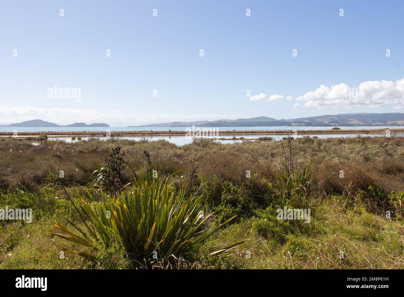 Der Blick auf die malerische Landschaft mit Busch, Meer und Bergen im Hintergrund an einem sonnigen Tag, Duder Regional Park, Auckland City, Neuseeland. Stockfoto