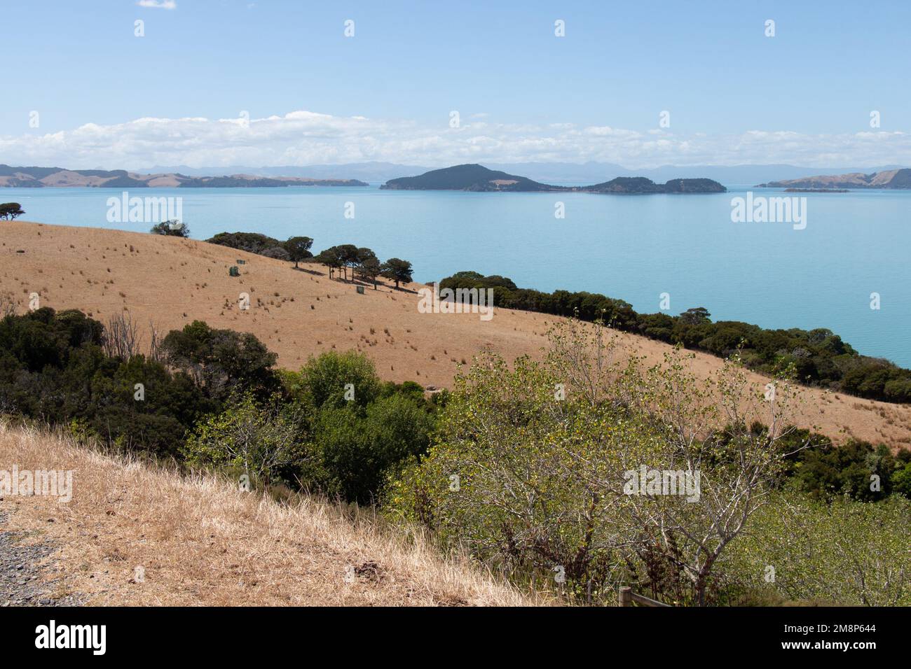 Der Blick auf die malerische Landschaft mit Hang, blauem Meer und Bergen im Hintergrund an einem sonnigen Tag, Duder Regional Park, Auckland City, Neuseeland. Stockfoto