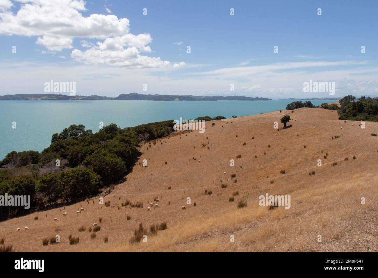 Malerische Landschaft mit Hang, blauem Meer und Bergen im Hintergrund an einem sonnigen Tag, Duder Regional Park, Auckland City, Neuseeland. Stockfoto