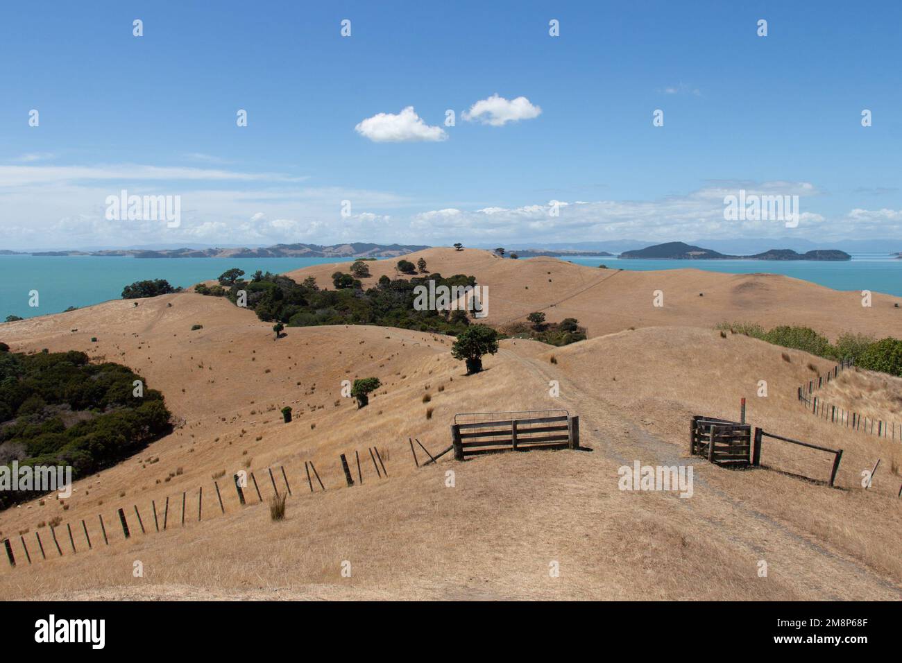 Der Blick auf die malerische Landschaft mit trockenem Gras, blauem Meer und Hügeln im Hintergrund an einem sonnigen Tag, Duder Regional Park, Auckland City, Neu Stockfoto