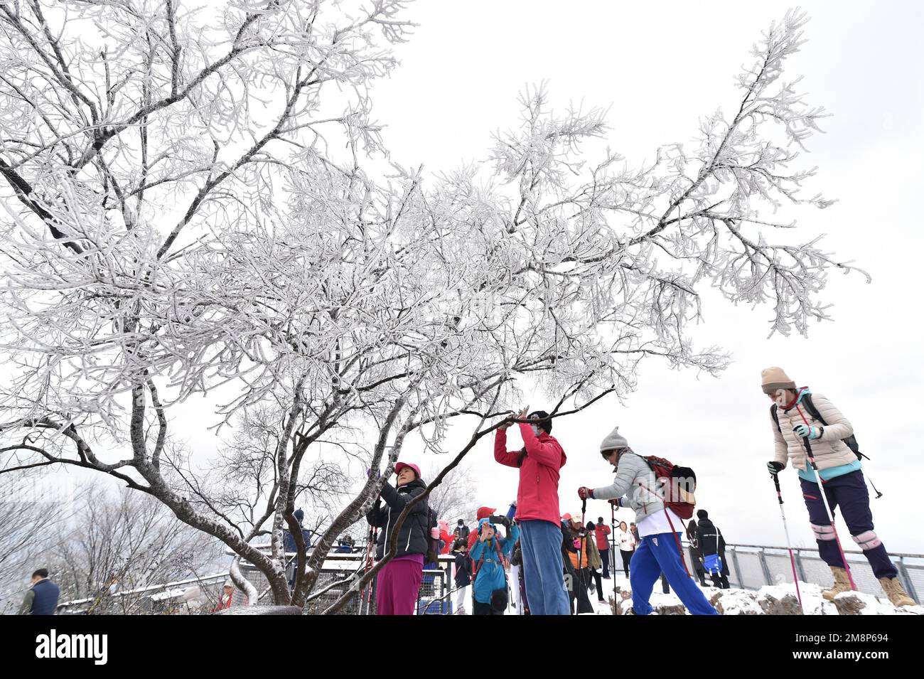 NANJING, CHINA - 15. JANUAR 2023 - Touristen genießen den Schnee am Zijin Mountain in Nanjing, Ostchina Provinz Jiangsu, 15. Januar 2023. Stockfoto